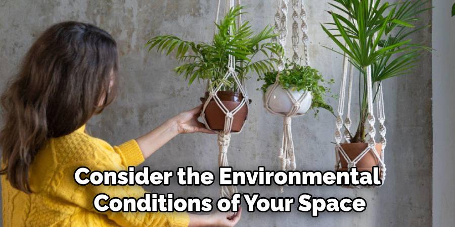 Consider the Environmental
Conditions of Your Space