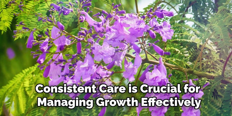Consistent Care is Crucial for
Managing Growth Effectively