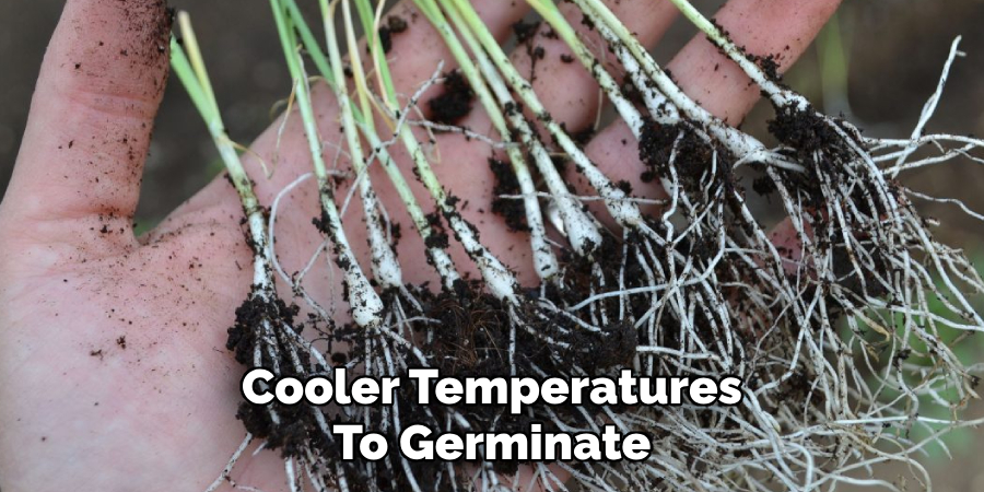 Cooler Temperatures
To Germinate