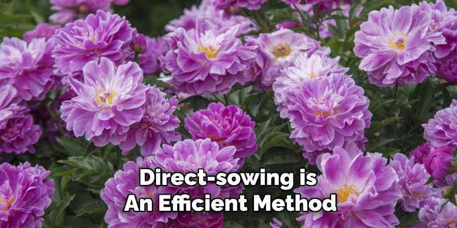 Direct-sowing is
An Efficient Method