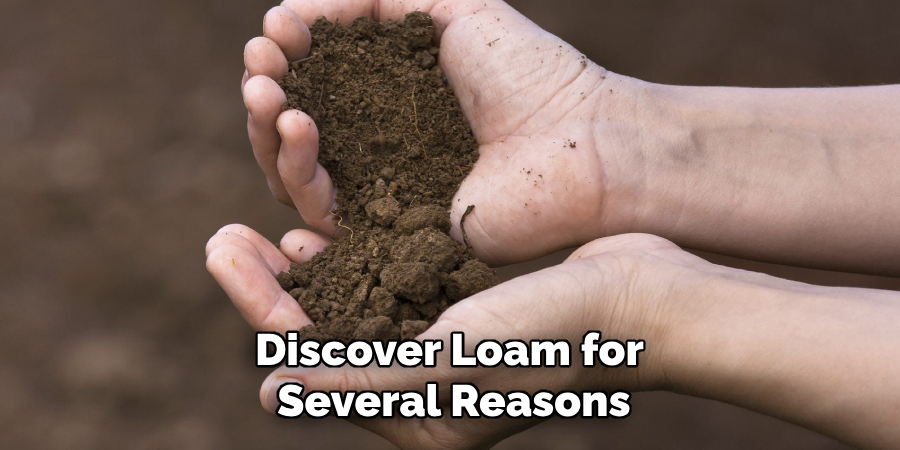 Discover Loam for 
Several Reasons