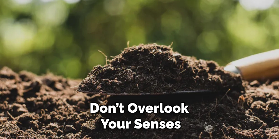 Don’t Overlook 
Your Senses