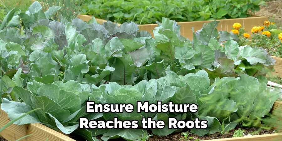 Ensure Moisture
Reaches the Roots