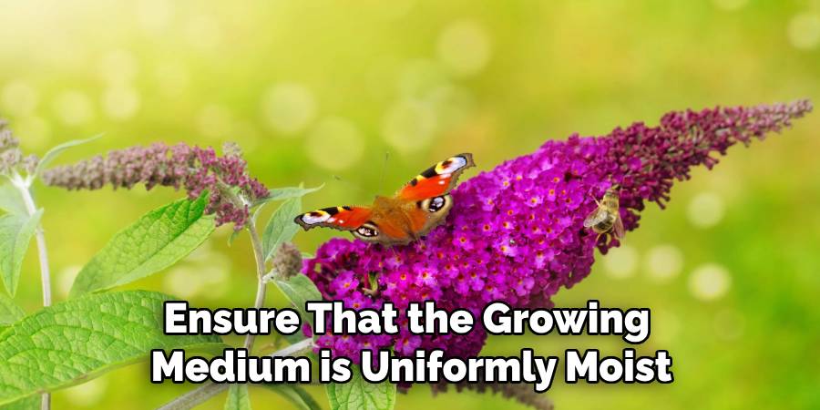Ensure That the Growing
Medium is Uniformly Moist