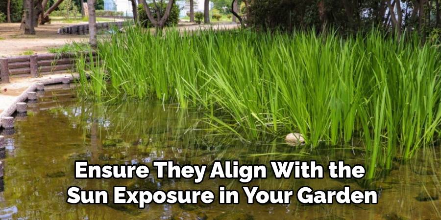 Ensure They Align With the
Sun Exposure in Your Garden
