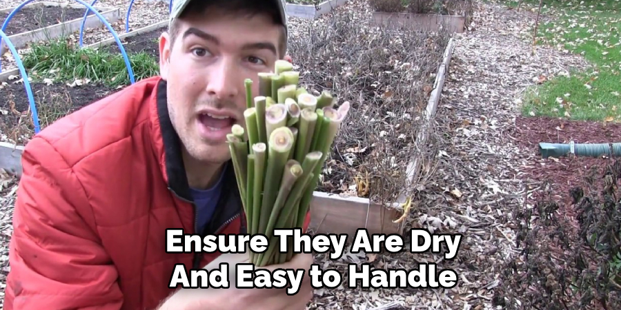 Ensure They Are Dry
And Easy to Handle