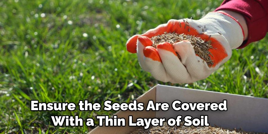 Ensure the Seeds Are Covered
With a Thin Layer of Soil