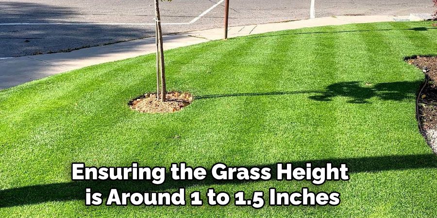 Ensuring the Grass Height
is Around 1 to 1.5 Inches