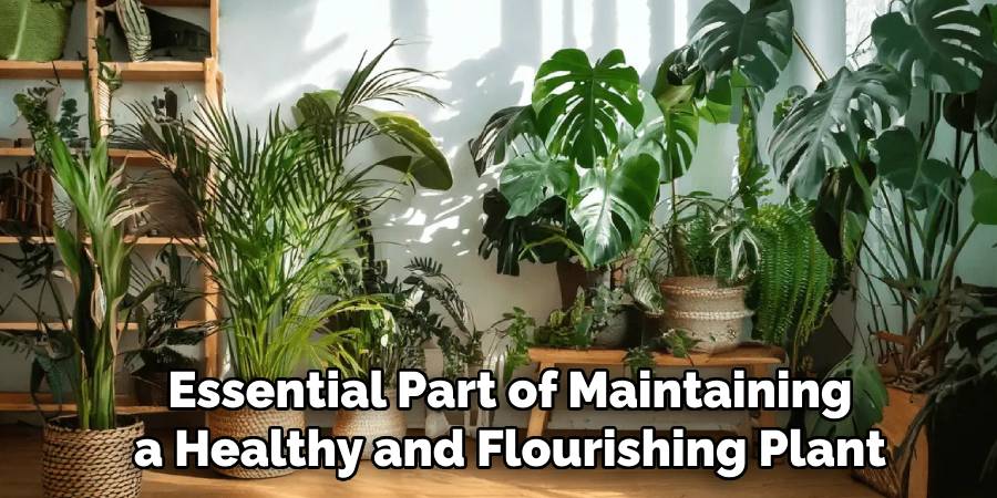 Essential Part of Maintaining
a Healthy and Flourishing Plant