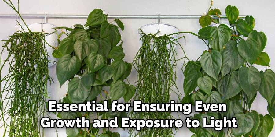 Essential for Ensuring Even
Growth and Exposure to Light