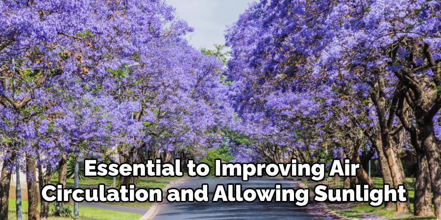 Essential to Improving Air
Circulation and Allowing Sunlight
