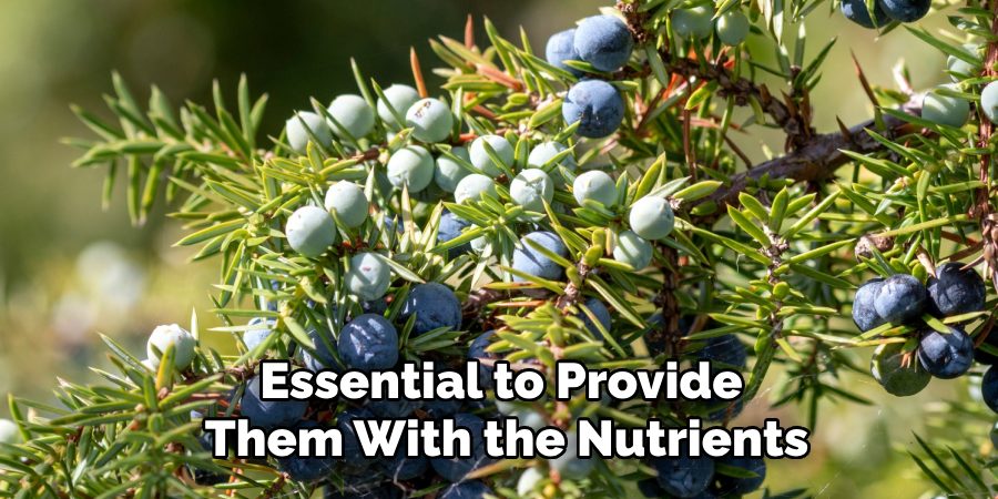 Essential to Provide 
Them With the Nutrients