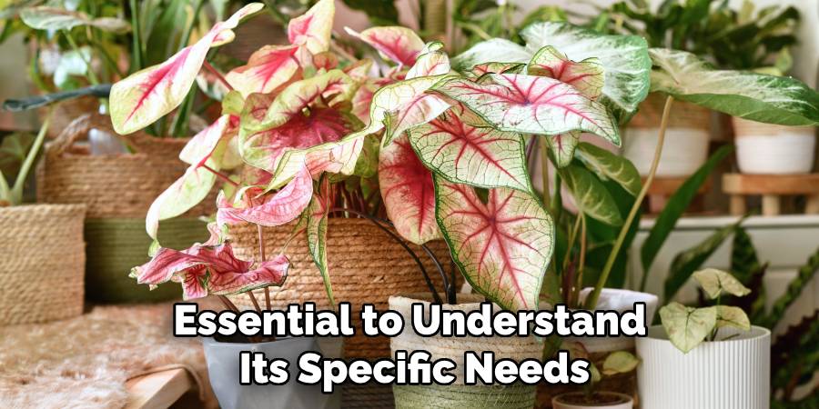 Essential to Understand
Its Specific Needs