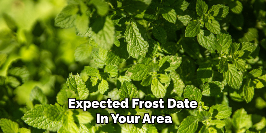 Expected Frost Date
In Your Area