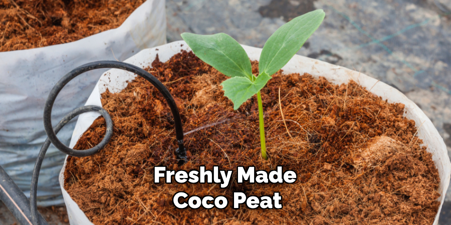 Freshly Made
Coco Peat