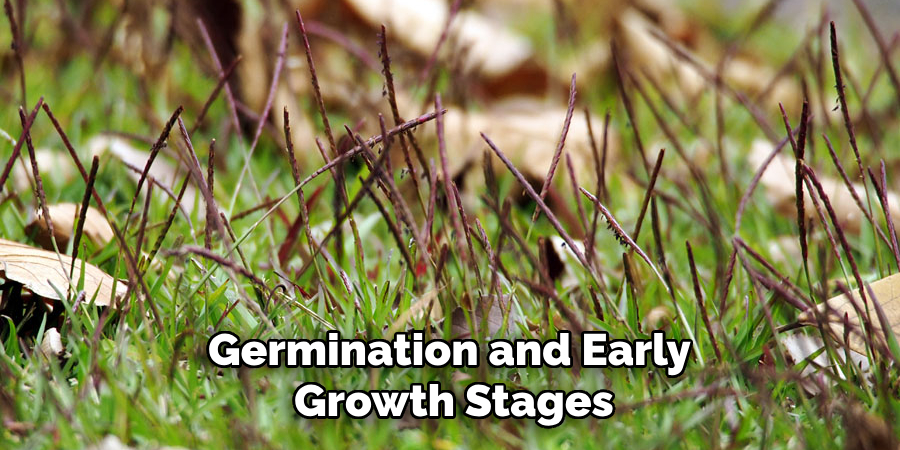 Germination and Early 
Growth Stages