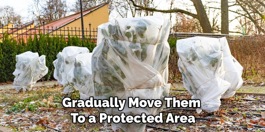 Gradually Move Them
To a Protected Area