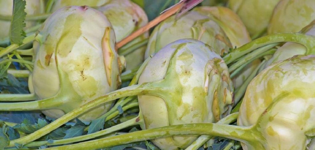 How to Collect Kohlrabi Seeds