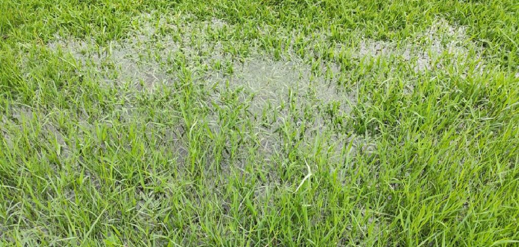 How to Drain a Waterlogged Lawn