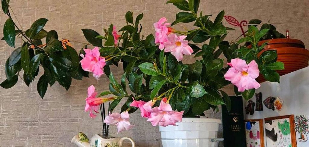 How to Grow Tropical Plants Indoors