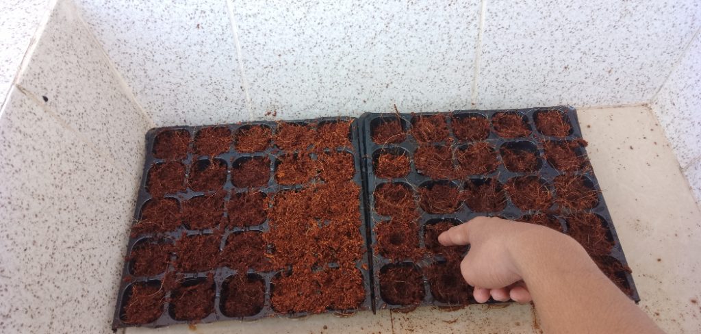 How to Make Coco Peat Soil