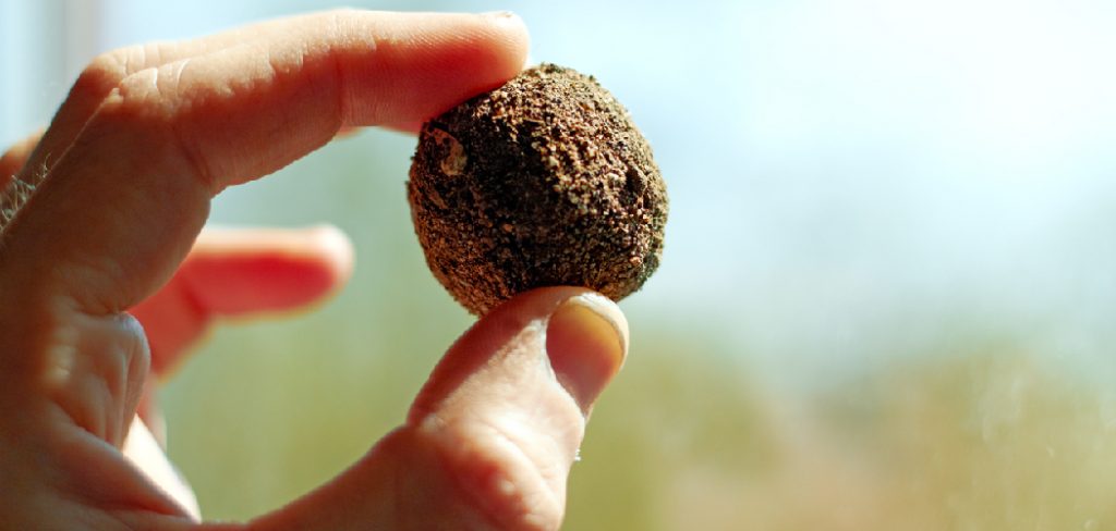 How to Make Wildflower Seed Balls
