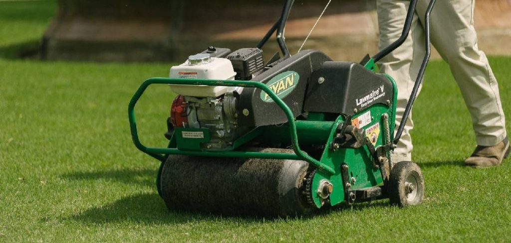 How to Overseed a Lawn in Fall