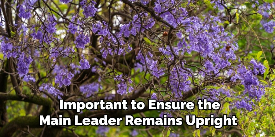 Important to Ensure the
Main Leader Remains Upright