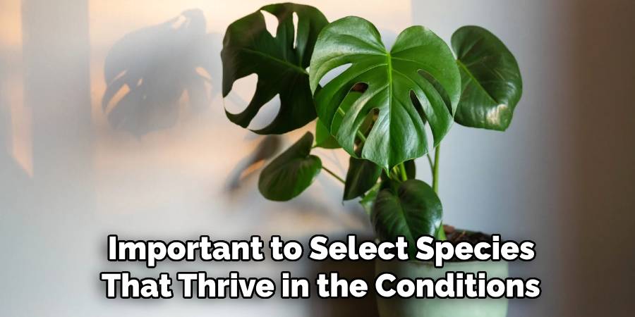 Important to Select Species
That Thrive in the Conditions