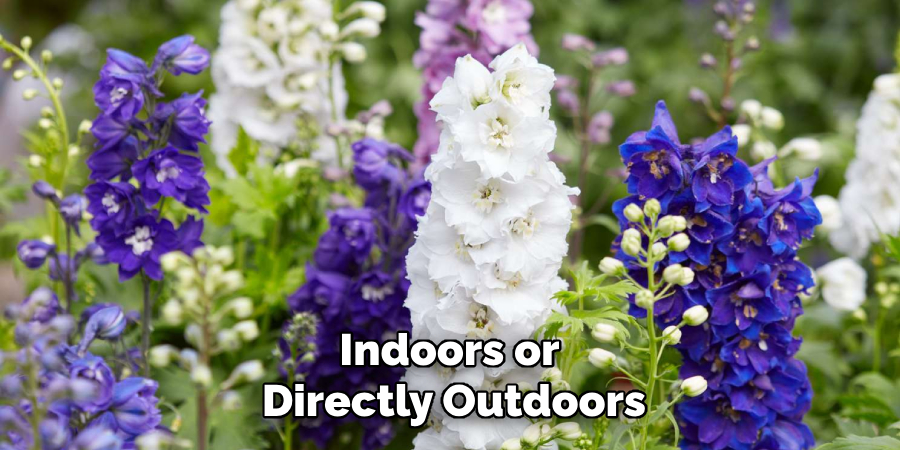 Indoors or
Directly Outdoors