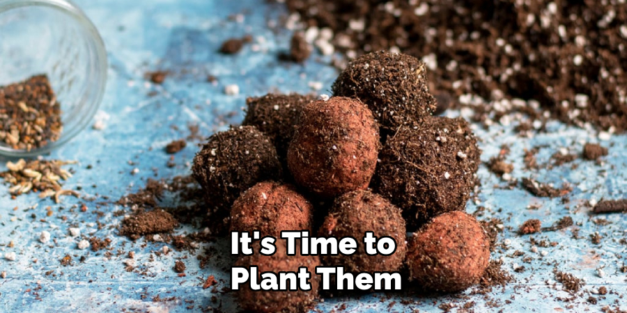 It's Time to 
Plant Them