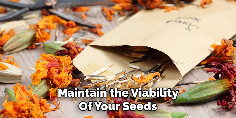 Maintain the Viability
Of Your Seeds