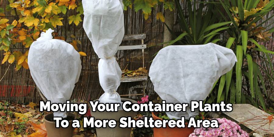 Moving Your Container Plants
To a More Sheltered Area
