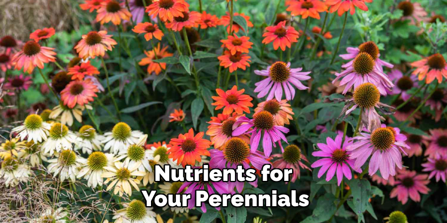 Nutrients for
Your Perennials