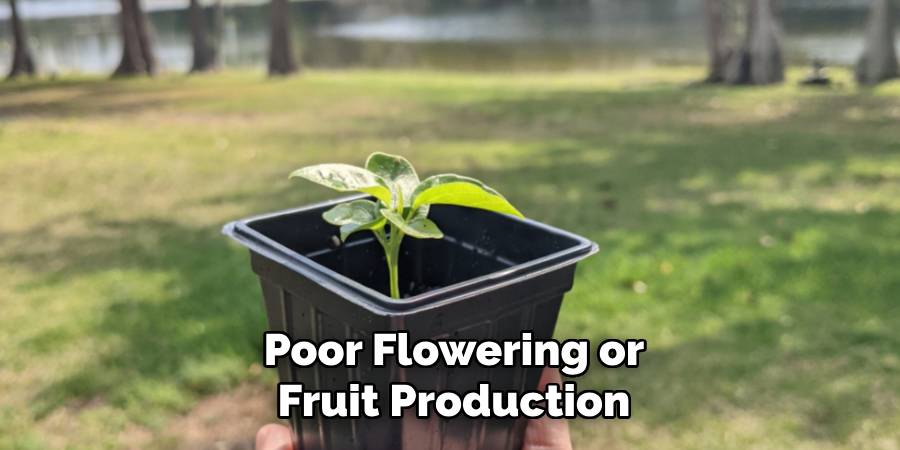 Poor Flowering or Fruit Production