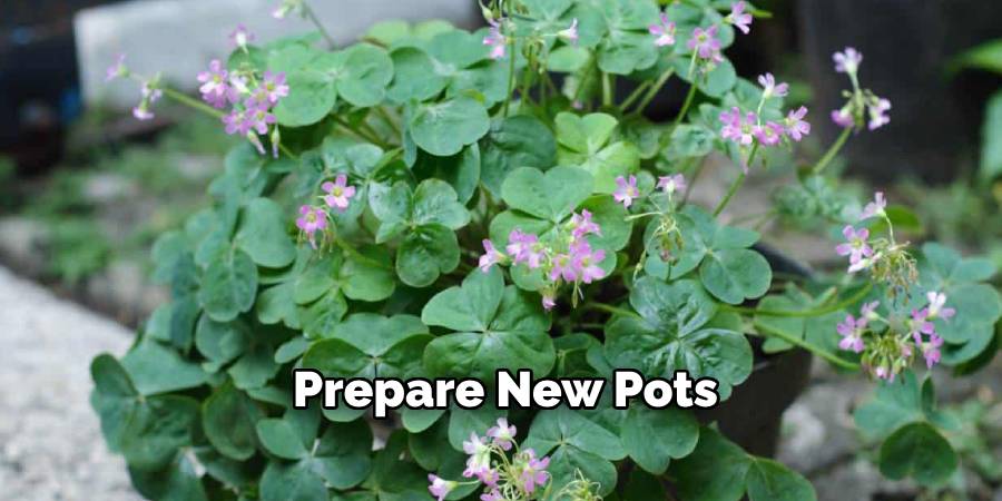 Prepare New Pots