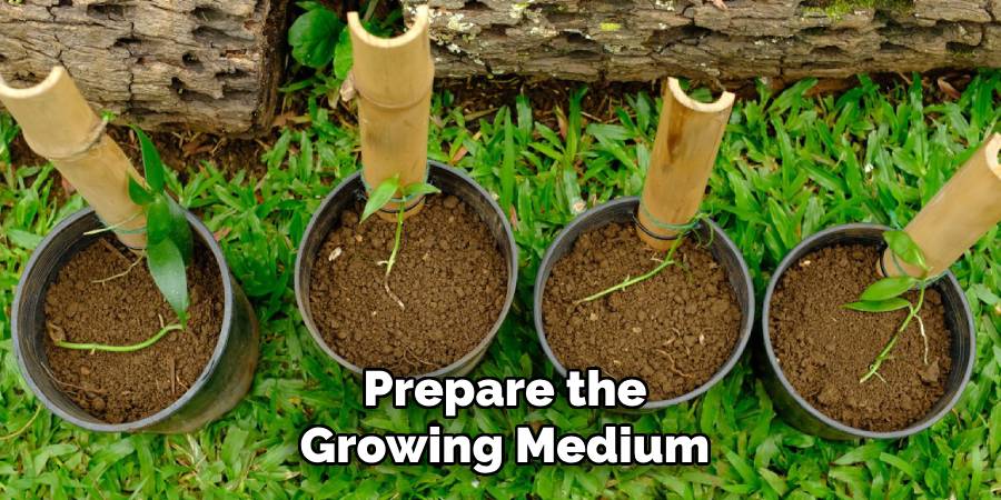 Prepare the Growing Medium
