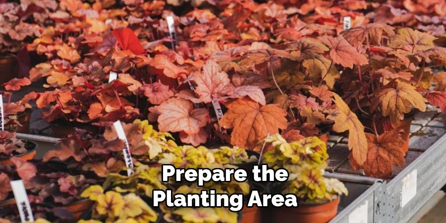 Prepare the Planting Area
