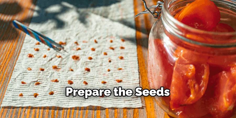 Prepare the Seeds 