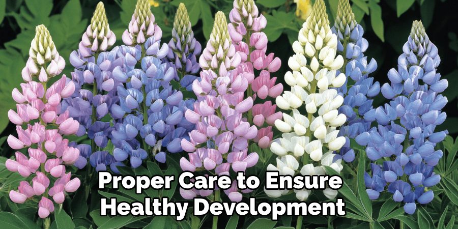 Proper Care to Ensure
 Healthy Development