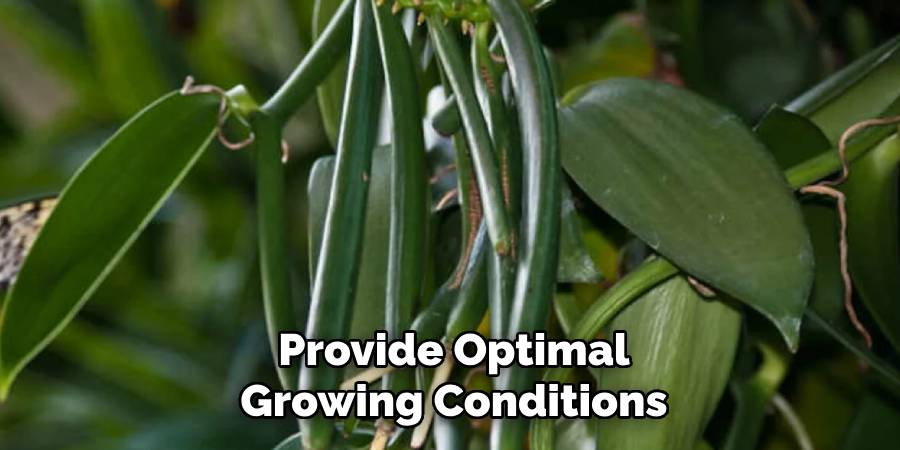 Provide Optimal Growing Conditions