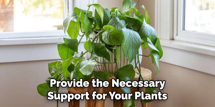 Provide the Necessary
Support for Your Plants