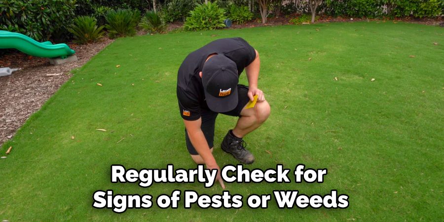 Regularly Check for
Signs of Pests or Weeds