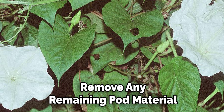 Remove Any Remaining Pod Material