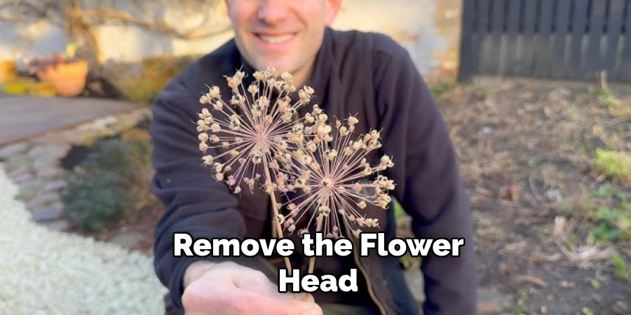 Remove the
Flower Head