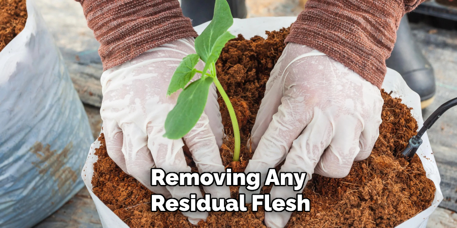 Removing Any
Residual Flesh