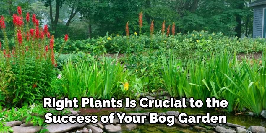 Right Plants is Crucial to the
Success of Your Bog Garden