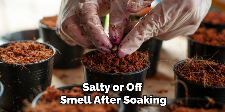 Salty or Off
Smell After Soaking