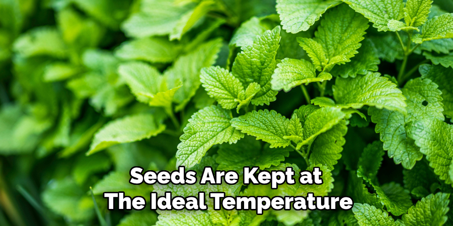 Seeds Are Kept at
The Ideal Temperature