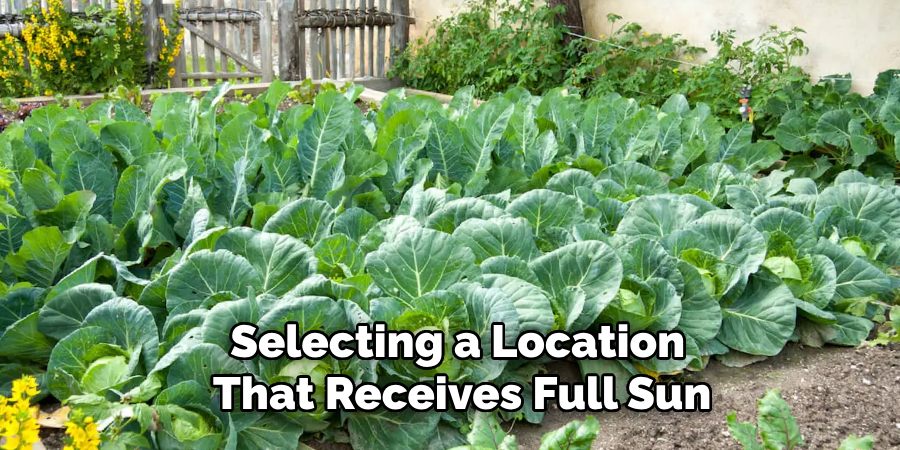 Selecting a Location
That Receives Full Sun